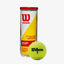 bola-de-tenis-wilson-championship1-min