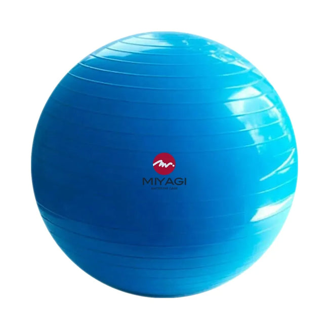 balon-pilates-miyagi-azul-min Hover Image