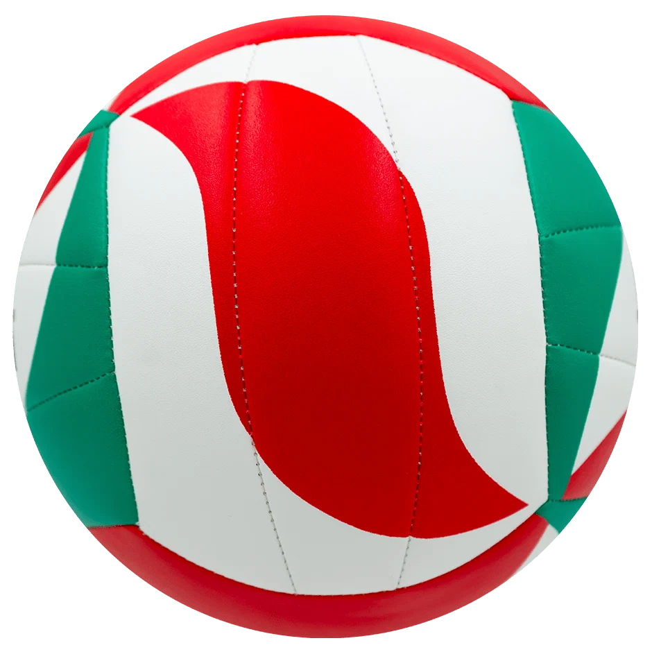 Balon Voleibol Molten V5M1500