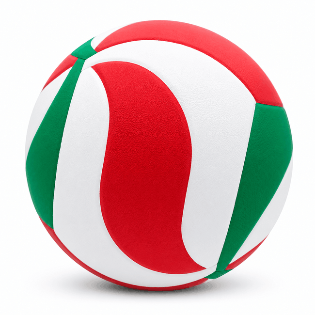 Balón de Voleibol Molten V5M4200 Main Image