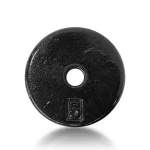 Disco de Hierro - Imagen 2