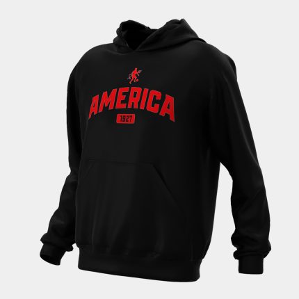 Buzo america capucha